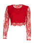 Crop-top en dentelle - rouge - 3