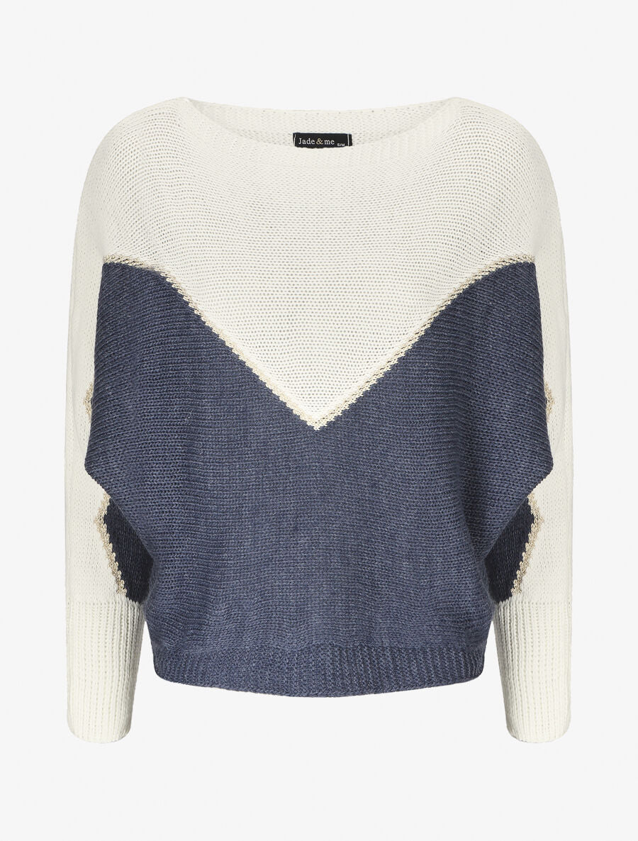 Pull en maille à motif V irisé - Bleu - 1